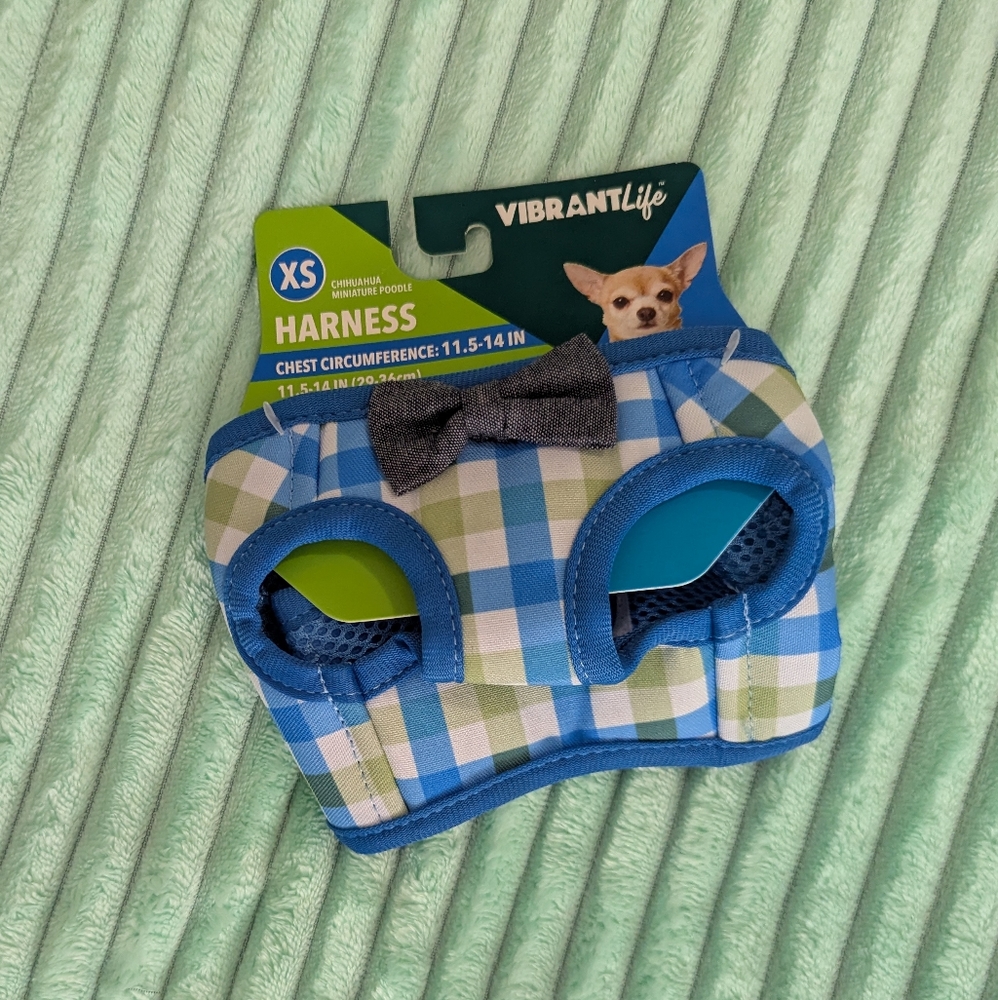 Vibrant Life Blue Checkered With Bow Extra Small Dog Harness